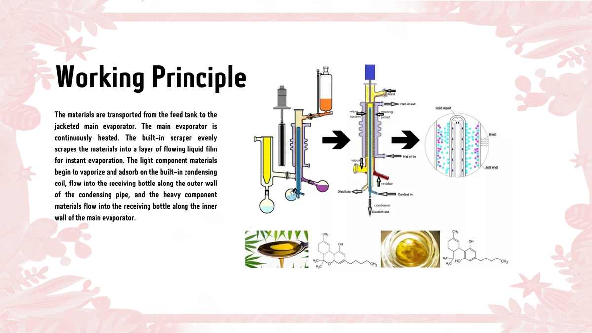Stainless Steel Molecular Distillation