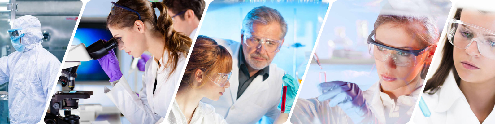 将创新带入生活